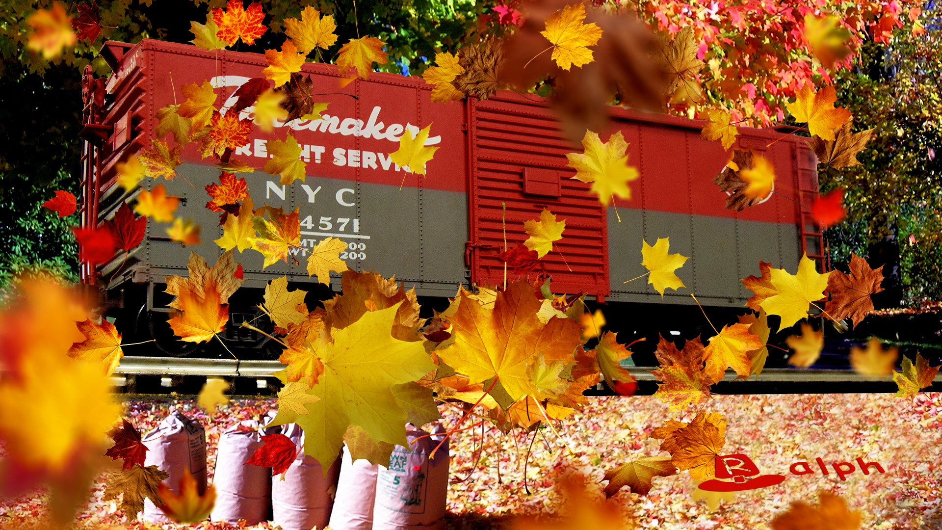 thanksgiving_pacemaker